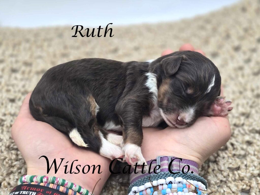 Ruth name